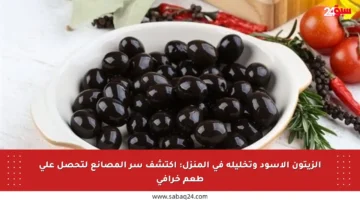 الزيتون الأسود وتخليله في المنزل: اكتشف سر المصانع لتحصل على طعم خرافي